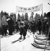 Skolungdomens fettistastävlingar på skidor. 1942