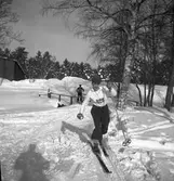 Dagbladets märkesbana. 1942