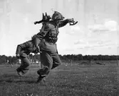 Kamratfäst vid I 14. 1942