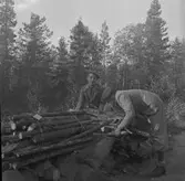 Konsums spillvedsinsamling. 1942