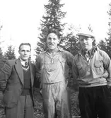 DM i orientering budkavle.