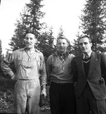 DM i orientering budkavle.