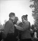 DM i orientering budkavle.