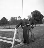 Friidrottare Gösta (Gösse) Holmér.

Han fullständiga namn: Gustaf Rickard Mikael Holmér son till Hans Holmér.

Svensk friidrottare som tävlade för Uppsala Studenters IF.
Holmér specialiserade sig på tiokamp och häcklöpning och tävlade även framgångsrikt i femkamp. 1912 deltog han i OS sommarspelen i
Stockholm och tog brons i tiokamp, men blev utslagen i femkamp efter fyra grenar. 1920 var han åter med i OS då slutade han fyra i tiokamp. Holmér har skrivit flera böcker om träning och är svensk friidrotts stora grabb nummer 19.
Holmér föddes 23 september 1891 i Djurdala, Kalmars län,
Dog 22 april 1983.