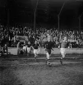 Brynäs mot det Danska laget Nasved.