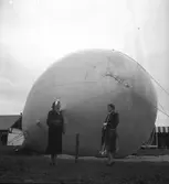 Grevinnan Mörner. 1946

Sjövärnskåren.