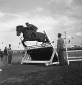 Ryttartävlingar. 1946