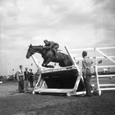Ryttartävlingar. 1946