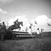 Ryttartävlingar. 1946