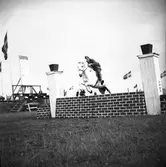Ryttartävlingar. 1946