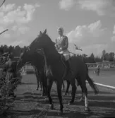 Ryttartävlingar. 1946