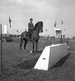 Ryttartävlingar. 1946