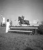 Ryttartävlingar. 1946