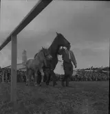 Lantbruksmötet. 1946