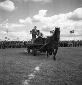 Lantbruksmötet. 1946