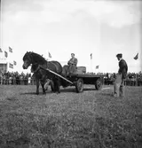 Lantbruksmötet. 1946