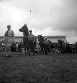 Lantbruksmötet. 1946