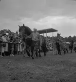 Lantbruksmötet. 1946