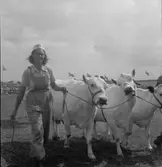 Lantbruksmötet. 1946