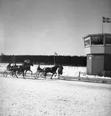 Travet. 17/3 1946