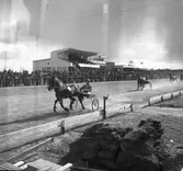 Travet. 20/4 1946