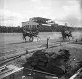 Travet. 20/4 1946