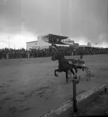 Travet. 20/4 1946