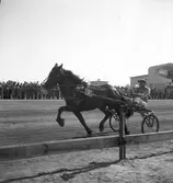 Trav den 1/9 1946.