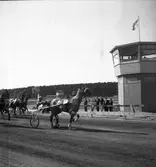 Trav den 1/9 1946.
