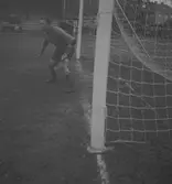 Volver Hamton.  25/6 1946