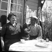 Koloniträdgården. 1947

