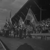 Svenska Flaggans Dag. 1947


