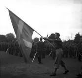 Svenska Flaggans Dag. 1947


