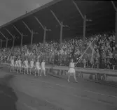 Svenska Flaggans Dag. 1947

