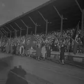 Svenska Flaggans Dag. 1947

