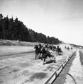 Jubileumsloppet travet. 11/5 1947.