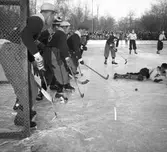 Bandy. 1946