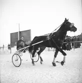 Travpremering första söndagen. 1946