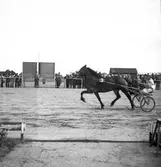 Premering för höstmeetingen.
Travet den 26/8 -1947