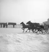 Trav, lopp nr:2. 24/2 1946