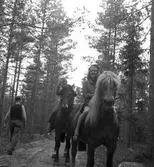Godtemplar SM i orientering. 1946