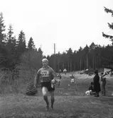 Godtemplar SM i orientering. 1946