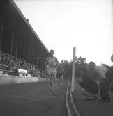 DM. I allmän idrott. (bl.a. löpning 2500 M) 1946.