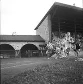IFK:s Tävlingar. 1946