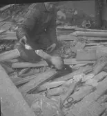 En iller på bygget blir matad. 1946