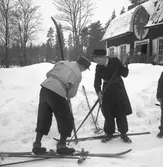 Skolungdomens fettisdagens tävlingar på skidor. 1946