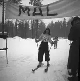 Skolungdomens fettisdagens tävlingar på skidor. 1946