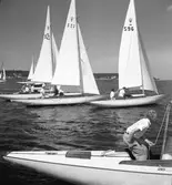 SM i segling. 1946