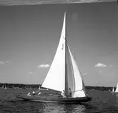 SM i segling. 1946