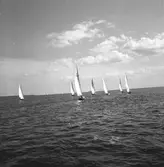 SM i segling. 1946